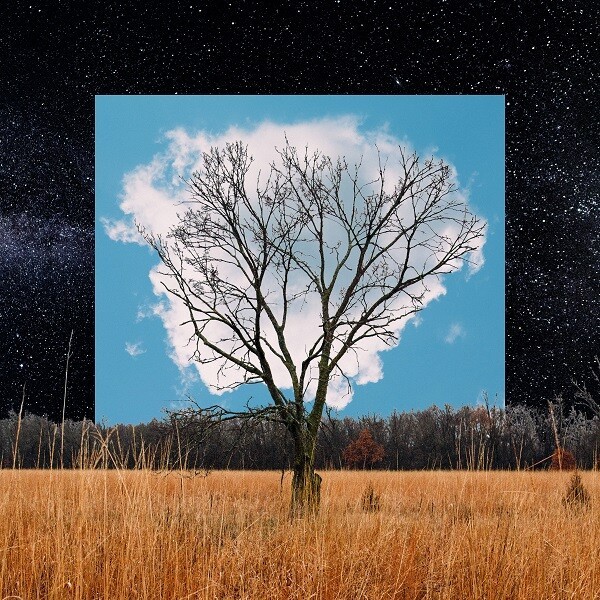 Cover FINK (UK), bloom innocent