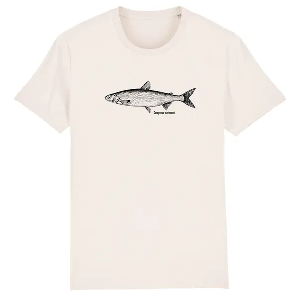FISHSHIRT – blaufelchen (boy), natural (Textil)