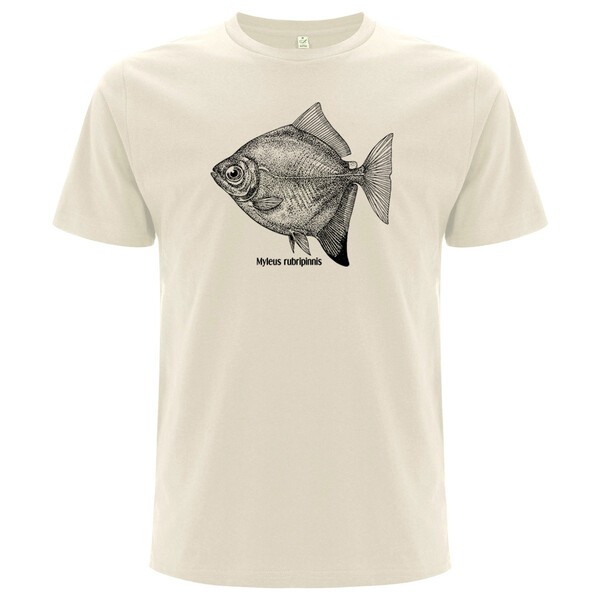 FISHSHIRT – haken scheibensalmler (boy), natural (Textil)