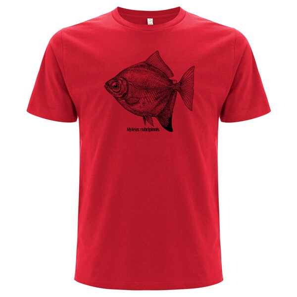 FISHSHIRT – haken scheibensalmler (boy), red (Textil)