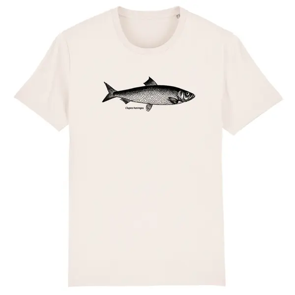 FISHSHIRT – hering (boy), natural (Textil)