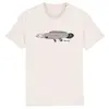 FISHSHIRT – kahlhecht (boy), natural (Textil)