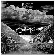 FJORT (FJØRT) – demontage (LP Vinyl)