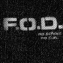 FLAG OF DEMOCRACY – no school no core (LP Vinyl)
