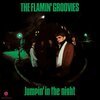 FLAMIN´ GROOVIES – jumpin in the night (LP Vinyl)