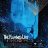 FLAMING LIPS – the teardrop throbs (CD, LP Vinyl)