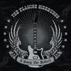 FLAMING SIDEBURNS – a song for robert (7" Vinyl)