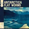 FLAT WORMS – antarctica (CD, Kassette, LP Vinyl)