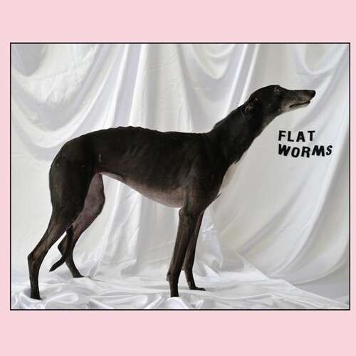 FLAT WORMS – s/t (LP Vinyl)
