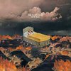 FLATLINERS – new ruin (mustard yellow) (LP Vinyl)