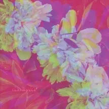 FLATWAVES – numbra (LP Vinyl)
