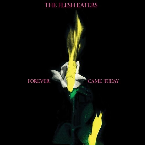 FLESH EATERS – forever came today (CD, LP Vinyl)