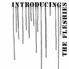 FLESHIES – introducing the fleshies (LP Vinyl)