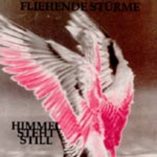 FLIEHENDE STÜRME – himmel steht still (CD)