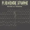 FLIEHENDE STÜRME – warten auf raketen (LP Vinyl)