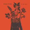 FLORA PURIM – if you will (LP Vinyl)