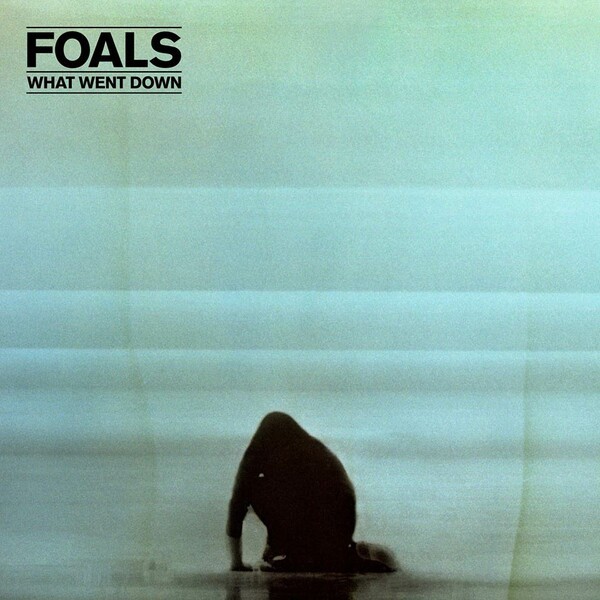 FOALS, what went down cover