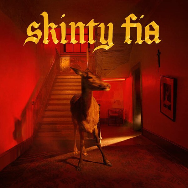 FONTAINES D.C., skinty fia cover
