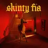 FONTAINES D.C. – skinty fia (CD)