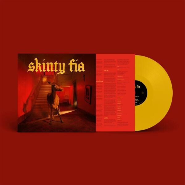 FONTAINES D.C., skinty fia (german-exclusive yellow vinyl) cover