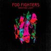 FOO FIGHTERS – wasting lights (CD, LP Vinyl)