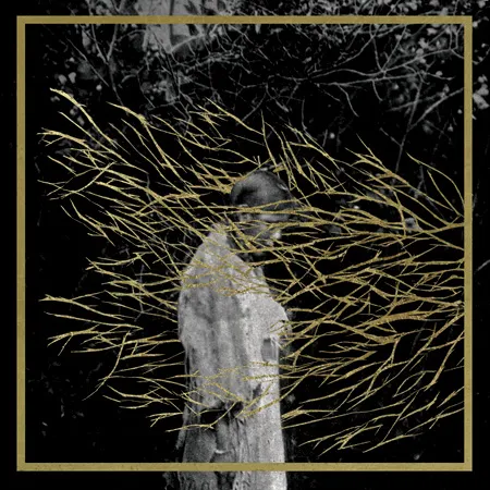 FOREST SWORDS – engravings (CD, LP Vinyl)