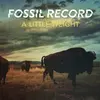 FOSSIL RECORD – a little weight (CD, LP Vinyl)