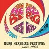 FRANK SCHÄFER – burg herzberg festival - since 1968 (Papier)