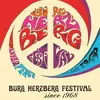FRANK SCHÄFER – burg herzberg festival - since 1968 (Papier)