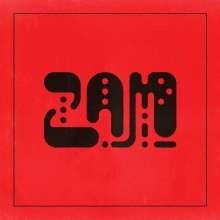 Cover FRANKIE & THE WITCH FINGERS, zam