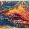 FREISPIEL – introversion (CD)