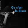 FREIWILLIGE SELBSTKONTROLLE (F.S.K.) – ca c´est le blues (LP Vinyl)