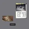 FRIDAY DUNARD – gerade (12" Vinyl)