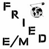 FRIED E/M – modern world (LP Vinyl)