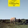 FRITTENBUDE – delfinarium (CD)