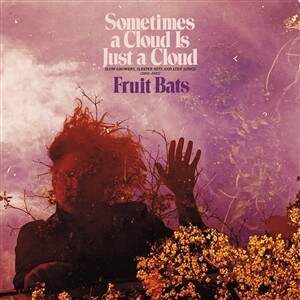 FRUIT BATS – sometimes a cloud is just a cloud (LP Vinyl)