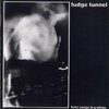 FUDGE TUNNEL – hate songs in e minor (CD)