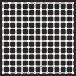 FUJIYA & MIYAGI – slight variations (CD, LP Vinyl)