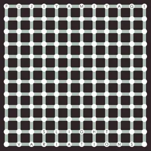 FUJIYA & MIYAGI – slight variations (CD, LP Vinyl)