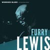 FURRY LEWIS – worried blues (LP Vinyl)