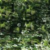 GAS – der lange marsch (CD, LP Vinyl)