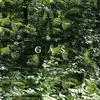GAS – der lange marsch (CD, LP Vinyl)