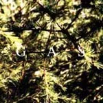GAS – pop (CD, LP Vinyl)