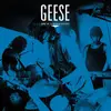 GEESE – live at third man (LP Vinyl)