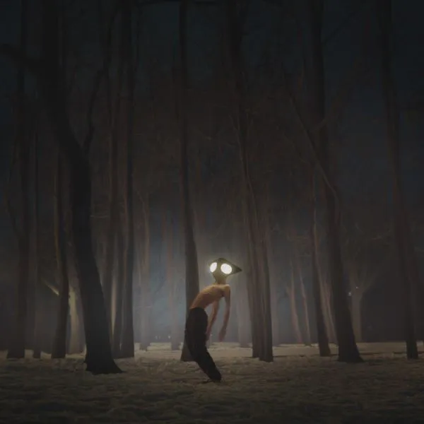 GEESE – projector (CD)