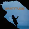 GENTLEMAN – gratitude (CD, LP Vinyl)