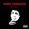 GERRY CINNAMON – erratic cinematic (CD, LP Vinyl)