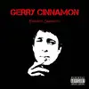 GERRY CINNAMON – erratic cinematic (CD, LP Vinyl)