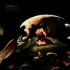 GEWALT – paradies (7" Vinyl)