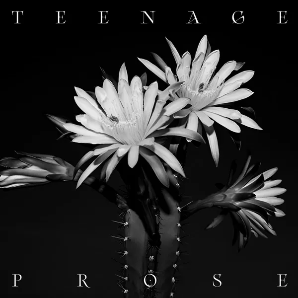 GHOST & ERRORS – teenage prose (Kassette)